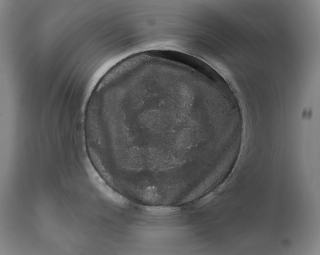 X0000111581200200908061317