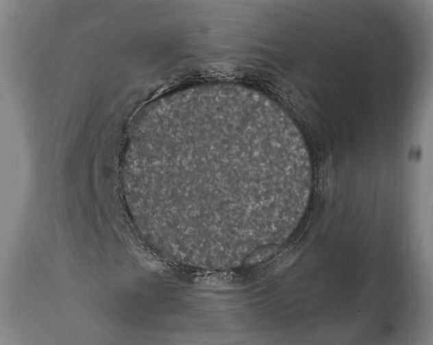 X0000111581201200908061317