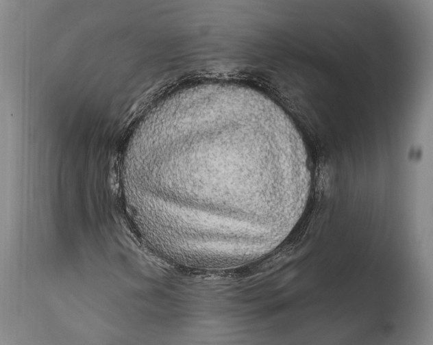 X0000111581202200908061317