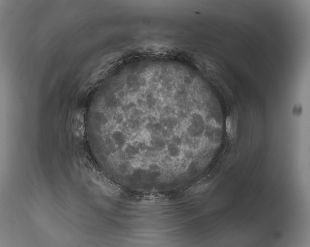 X0000111581203200908061317