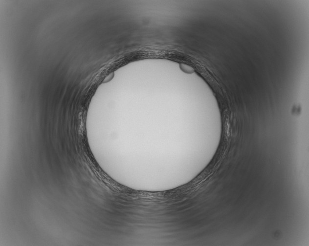 X0000111581204200908061317