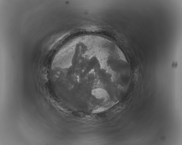 X0000111581205200908061317