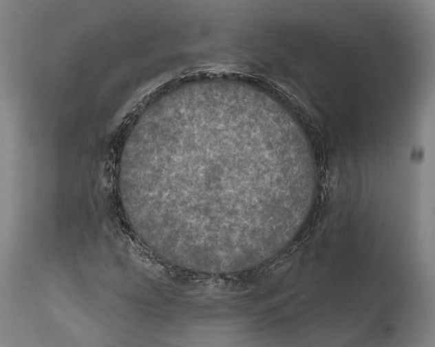 X0000111581207200908061317