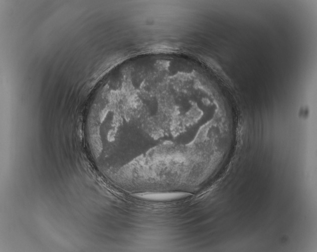 X0000111581209200908061317