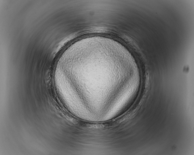 X0000111581210200908061317