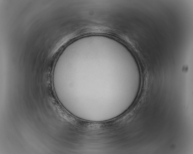 X0000111581211200908061317