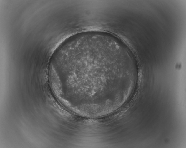 X0000111581212200908061317