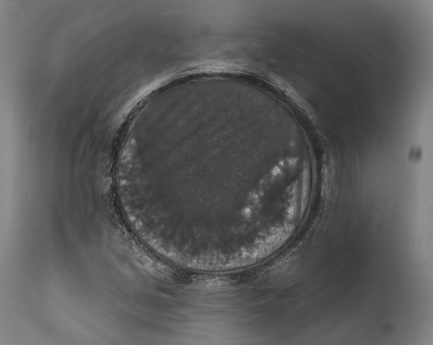 X0000111581213200908061317