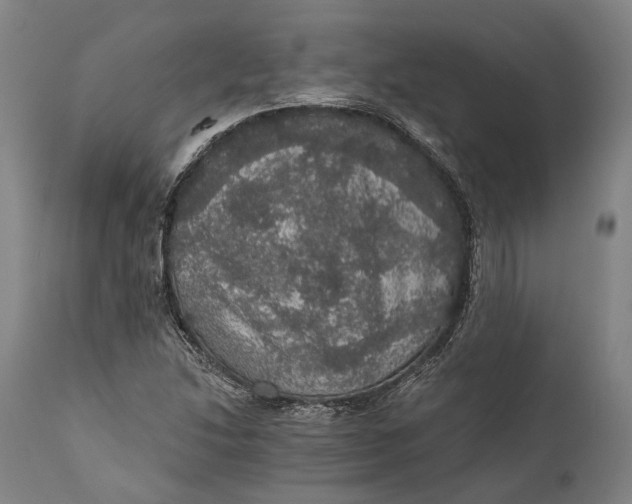 X0000111581214200908061317