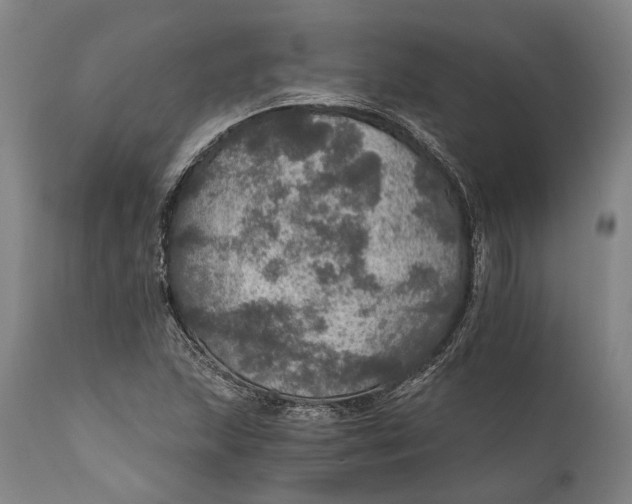 X0000111581215200908061317