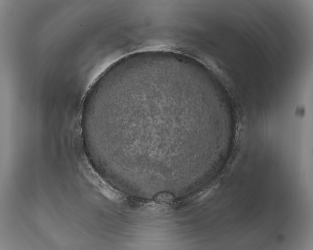 X0000111581216200908061317