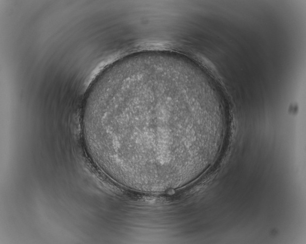 X0000111581218200908061317