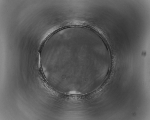 X0000111581219200908061317