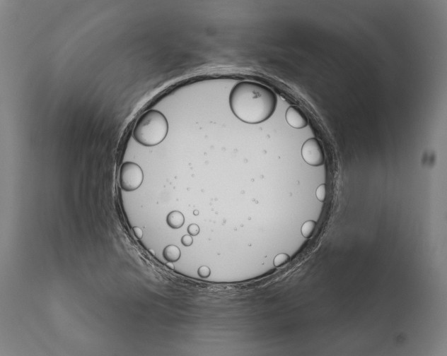 X0000111581220200908061317