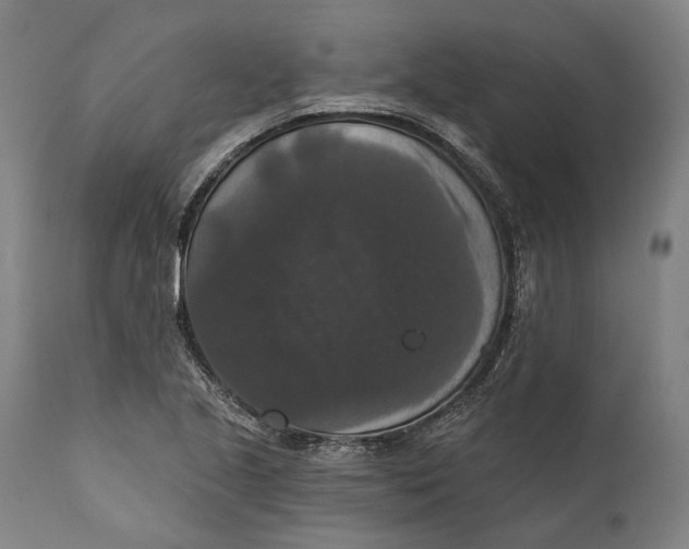 X0000111581221200908061317