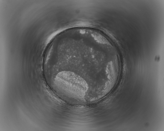 X0000111581222200908061317