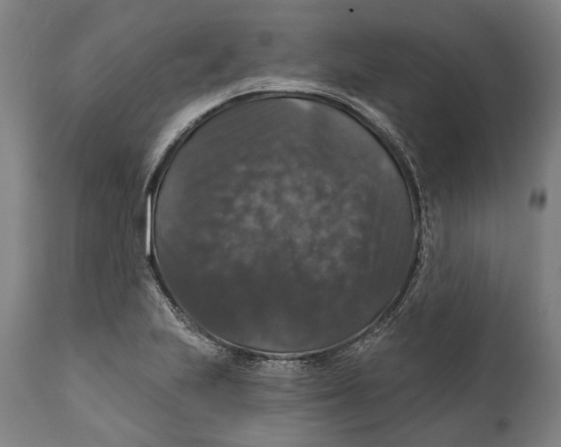 X0000111581223200908061317