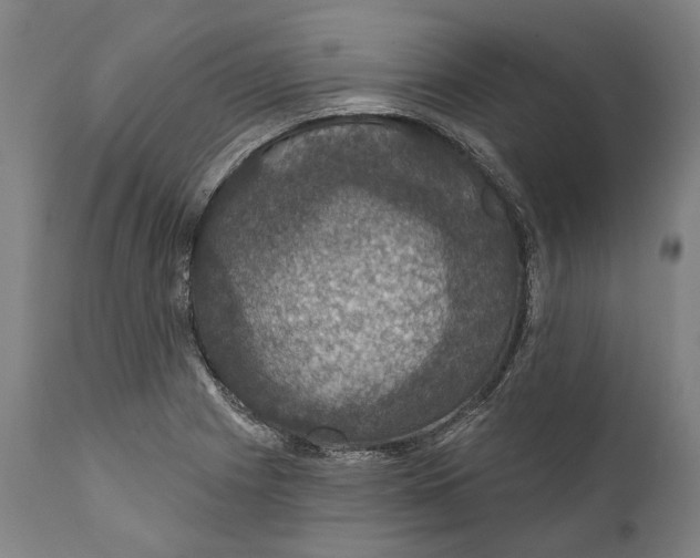 X0000111581225200908061317