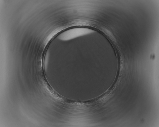 X0000111581226200908061317