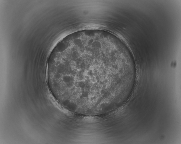 X0000111581227200908061317