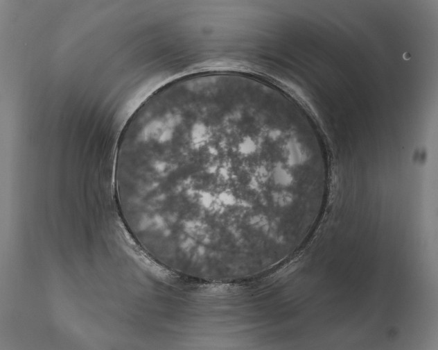 X0000111581228200908061317