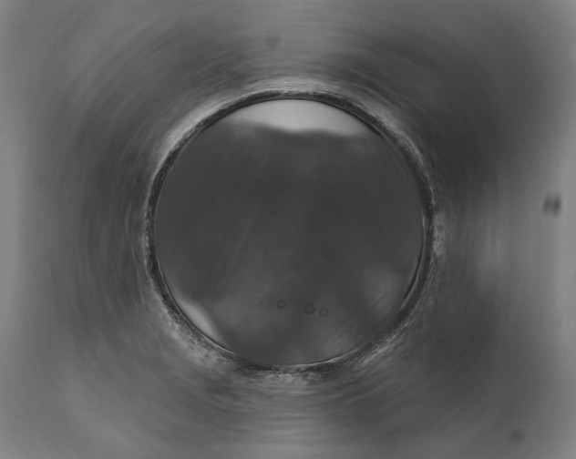 X0000111581229200908061317