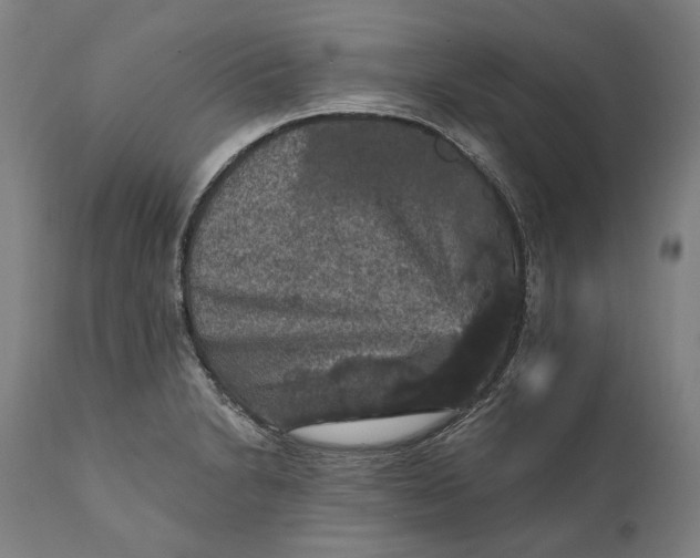 X0000111581230200908061317