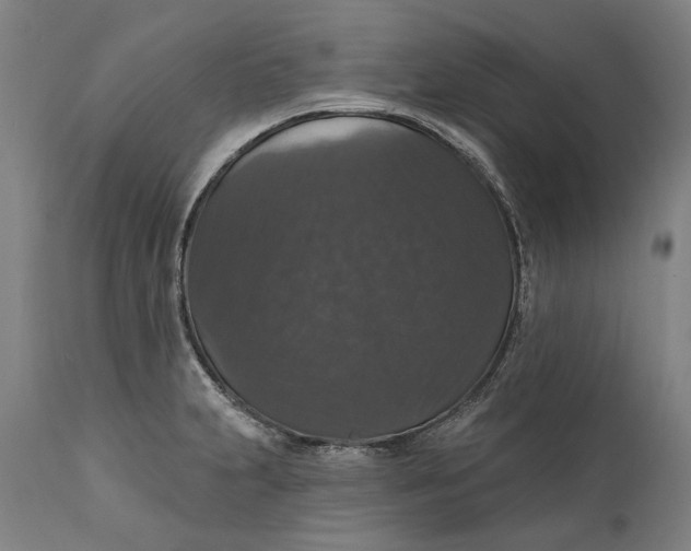 X0000111581231200908061317