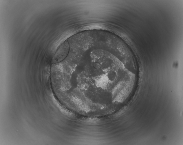 X0000111581233200908061317