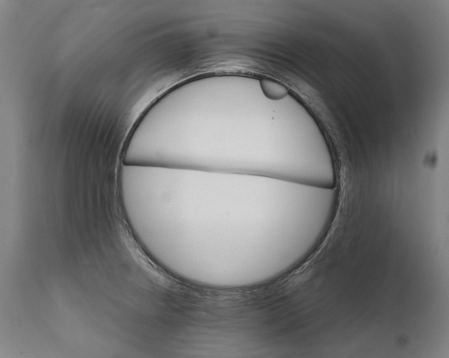 X0000111581234200908061317