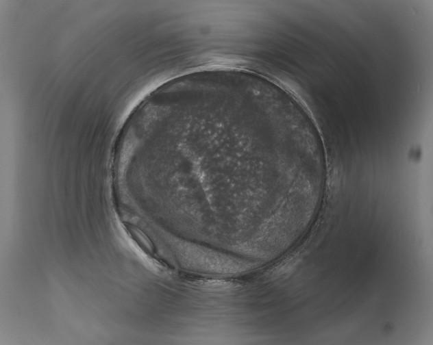 X0000111581235200908061317