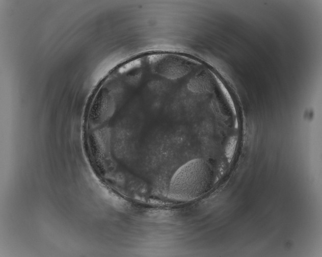 X0000111581237200908061317