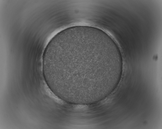 X0000111581238200908061317