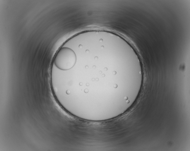 X0000111581239200908061317