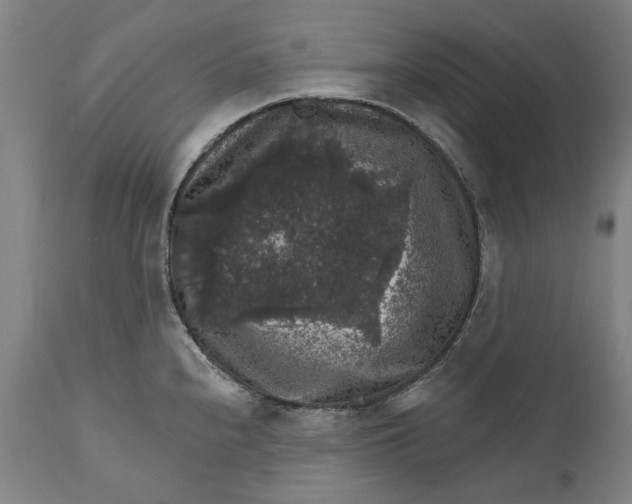 X0000111581240200908061317