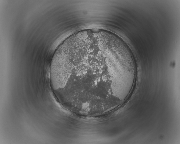 X0000111581241200908061317