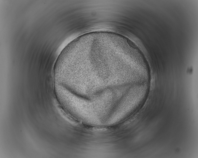 X0000111581242200908061317