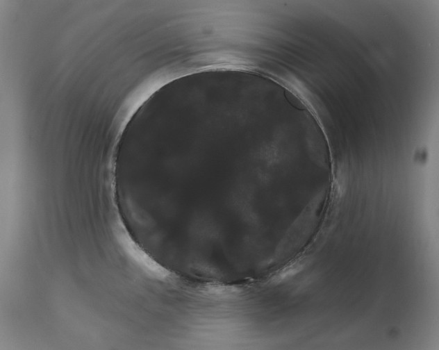 X0000111581243200908061317