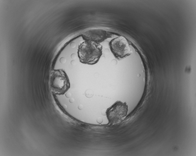 X0000111581245200908061317