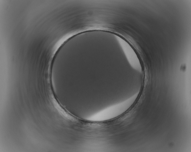 X0000111581246200908061317