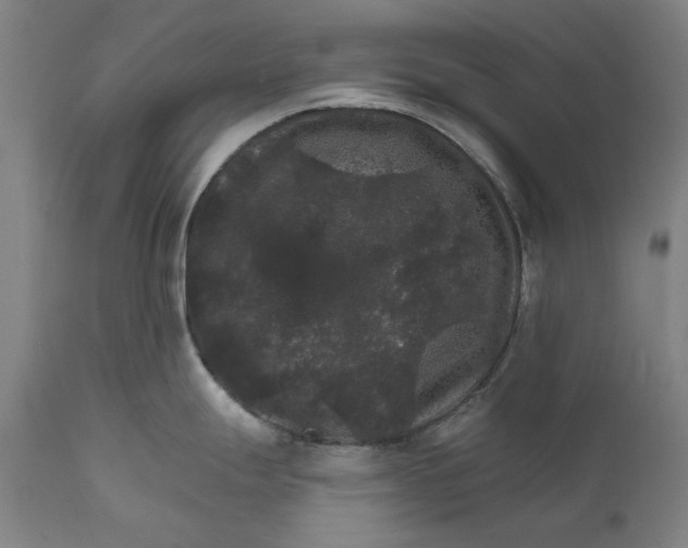 X0000111581247200908061317