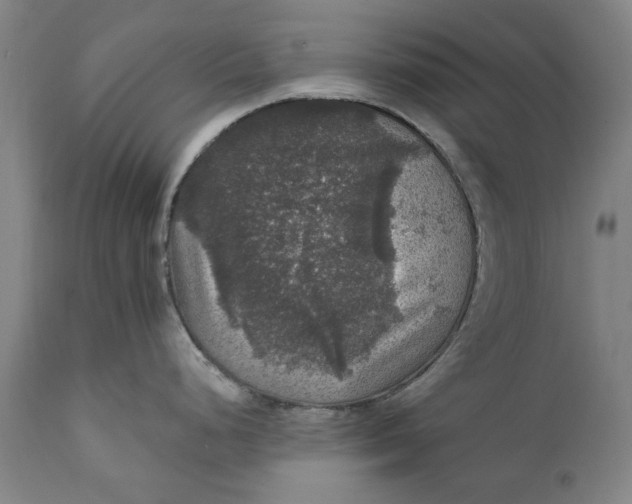 X0000111581248200908061317