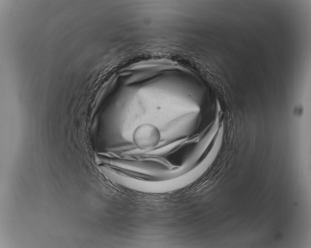 X0000111581249200908061317