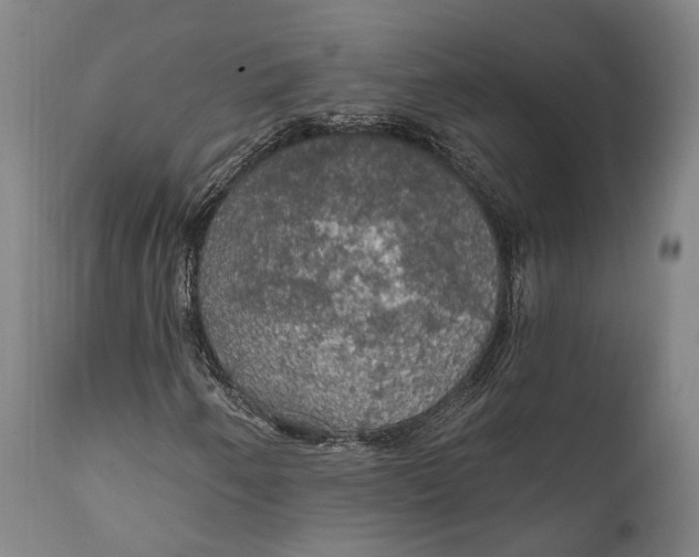 X0000111581250200908061316