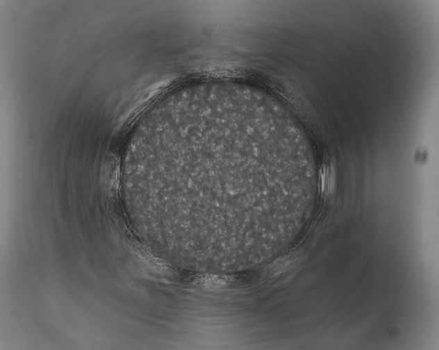 X0000111581251200908061316