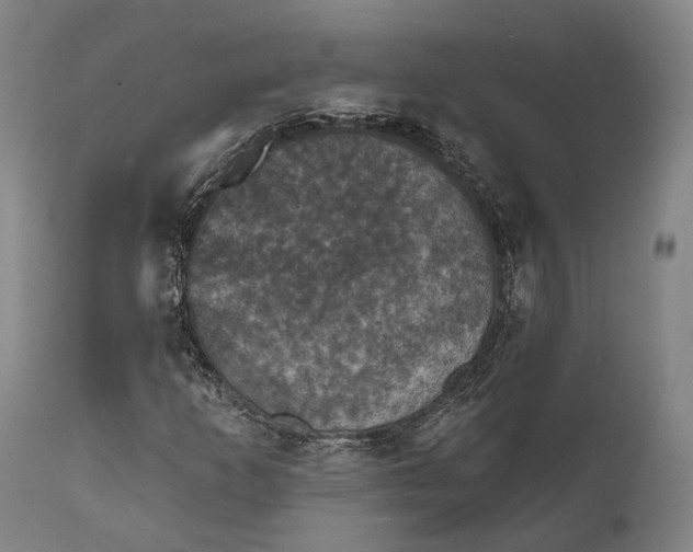 X0000111581253200908061316