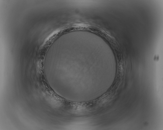 X0000111581254200908061316