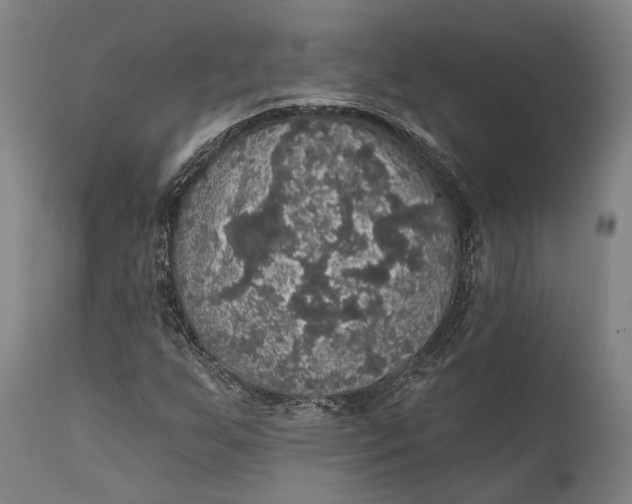 X0000111581255200908061316