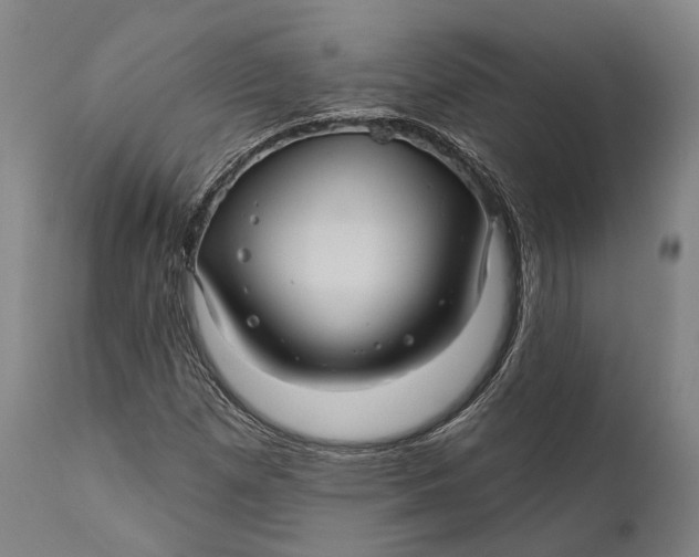 X0000111581257200908061316