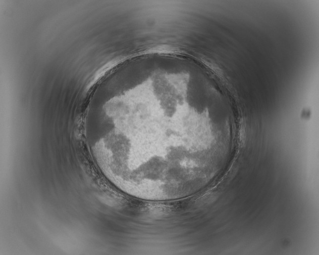 X0000111581258200908061316